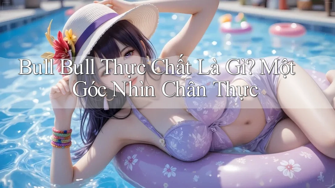 Bull Bull Thực Chất Là Gì? Một Góc Nhìn Chân Thực Bull Bull Thực Chất Là Gì? Một Góc Nhìn Chân Thực