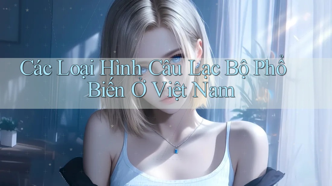 Các Loại Hình Câu Lạc Bộ Phổ Biến Ở Việt Nam Các Loại Hình Câu Lạc Bộ Phổ Biến Ở Việt Nam