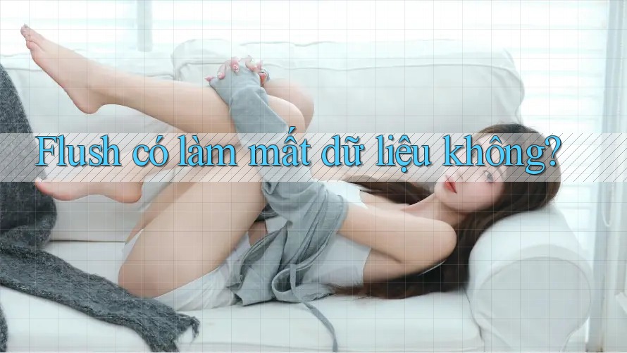 Flush có làm mất dữ liệu không? Flush có làm mất dữ liệu không?