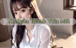 Xí ngầu Thành viên mới