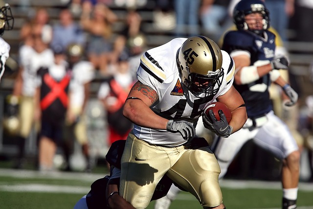 致长期粉丝 致长期粉丝